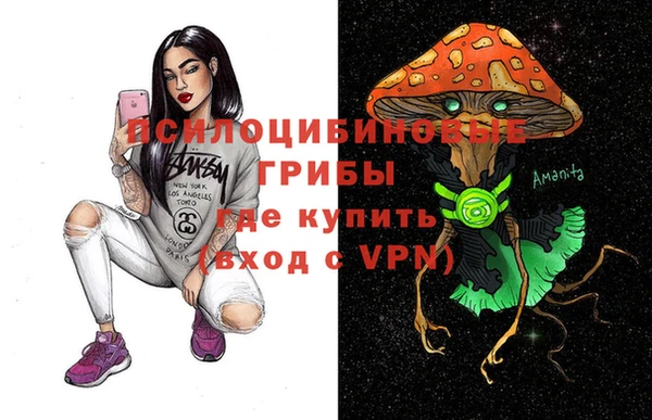 бошки Алексеевка