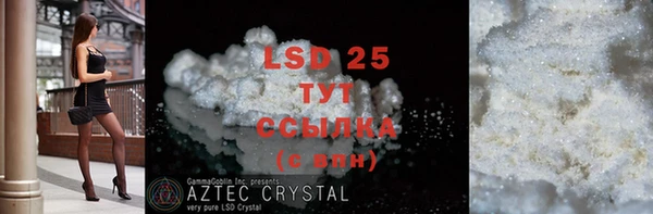 ECSTASY Алзамай
