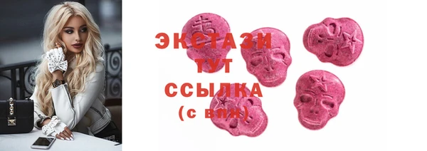 ECSTASY Алзамай